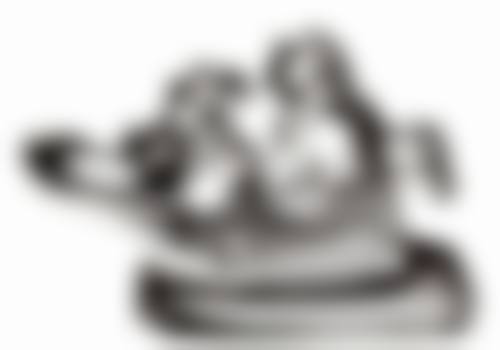 镇江贺文骏口腔医院是国有还是私立？