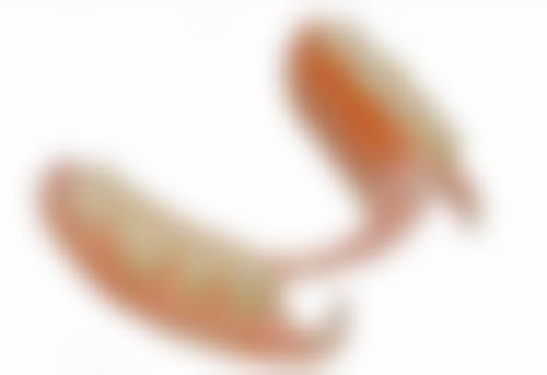 医生在判断老年人即刻种植牙成效边界中的作用