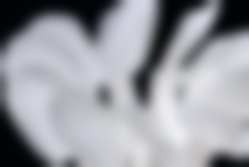 为什么要关注牙周炎根管治疗