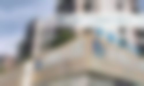 三、安顺牙博仕口腔（新大十字店）开展项目