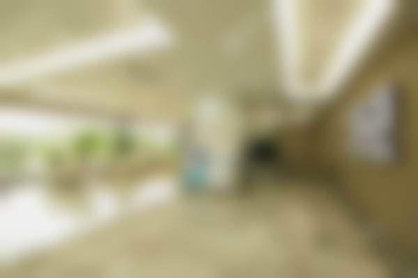 各个项目费用大概是多少呢