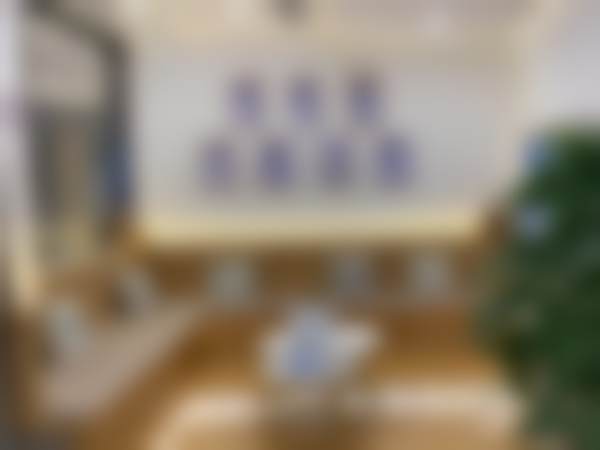 二、医院诊疗项目能力