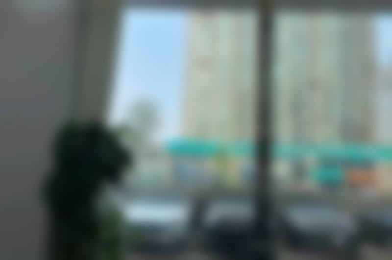 北京京大博爱口腔叶丽萍：消化内科 名咖跨界口腔，医疗素养拉满