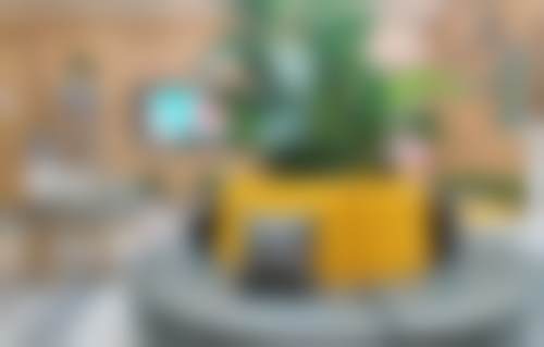 西安杏仁口腔美容门诊部地址电话及来院路线