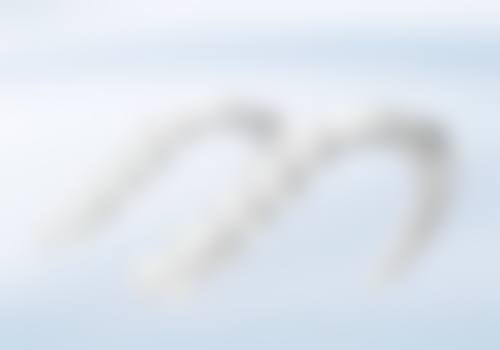 3、医院地址电话 / 营业时间