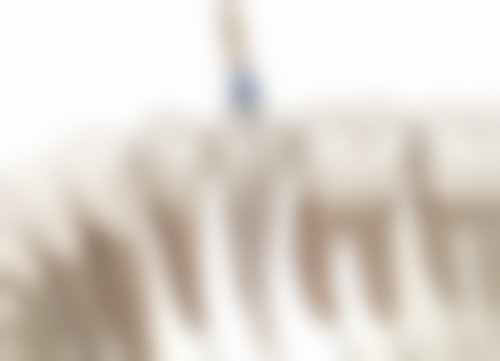 根管治療真相:香港姊妹常見疑問解答