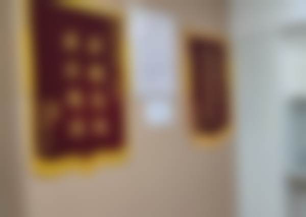 九、患者常见就诊关注点说明