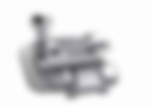 （3）儿童齿科医生