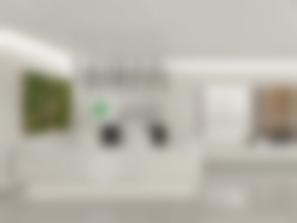 骨干医生团队配置