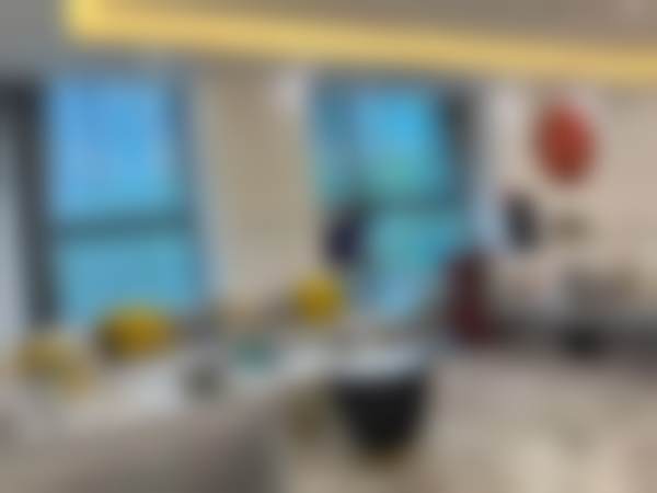 六.特别风险提示