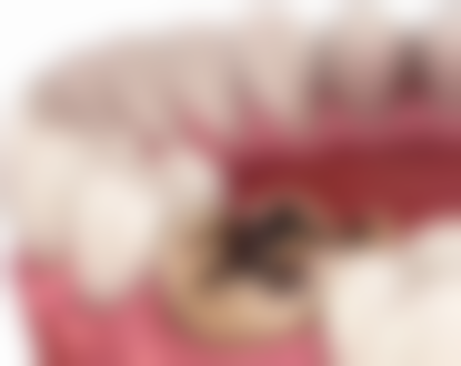 澳门牙科医院排名前十2026最新！粤语问诊免翻译+种牙劲悭70%+当天往返？