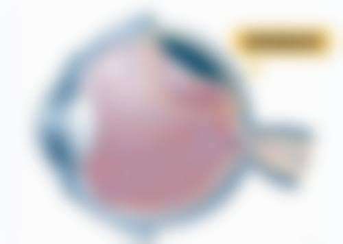 七、哈尔滨新梅眼科门诊部地址电话