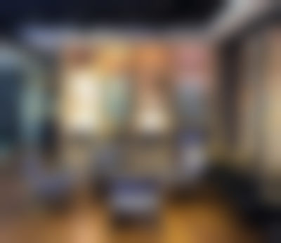 三、张博明擅长项目及优势