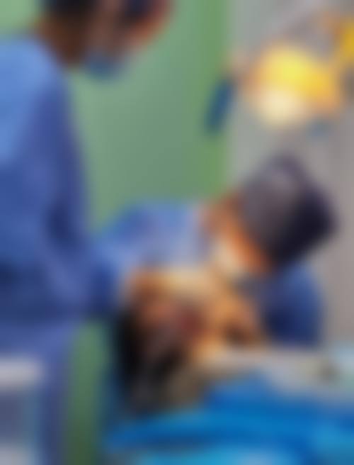 拓展延伸：香港人去深圳洗牙必知！避坑+護理指南