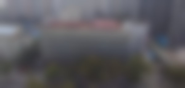 三、庞辰久擅长项目及优势