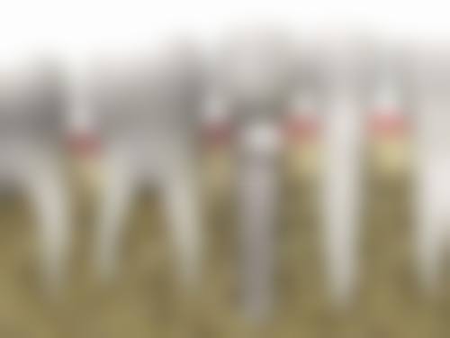 深圳隱適美同時代天使點揀2026最新攻略！邊個效果更好？價格差幾多？速度快D？