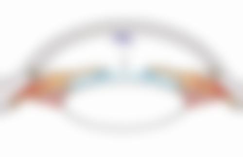 二、余匡伟医生擅长项目