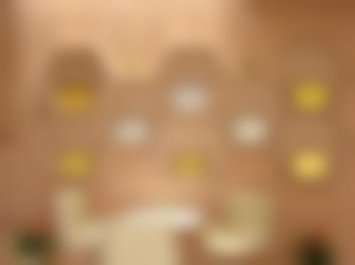 四、深圳正夫口腔门诊部(中洲店)医生团队结构