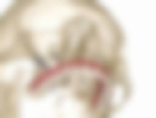 三、深圳正夫口腔(华强北旗舰店)基本信息