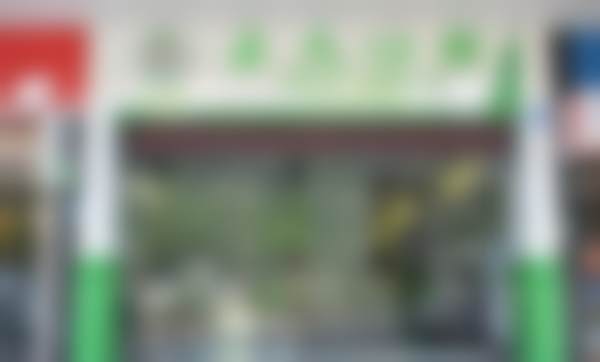 四、深圳正夫口腔门诊部(书城店)医生团队结构