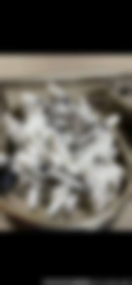 总结与预约号召