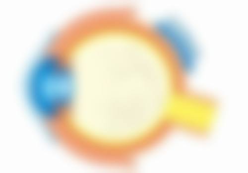 2、医院性质 / 资质备案