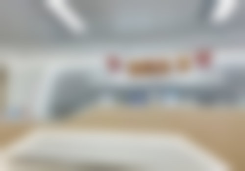 擅长项目详解