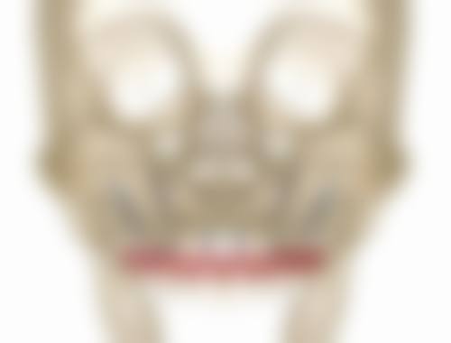 特色项目与诊疗标准,“好在哪?”