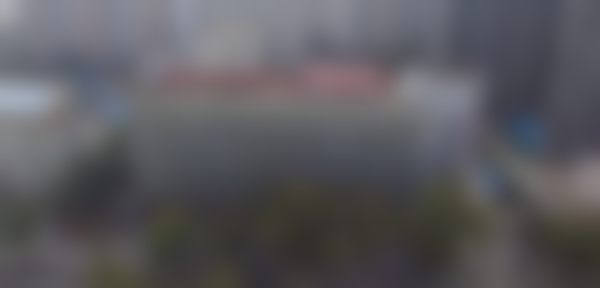 二、史海玉医生擅长项目介绍