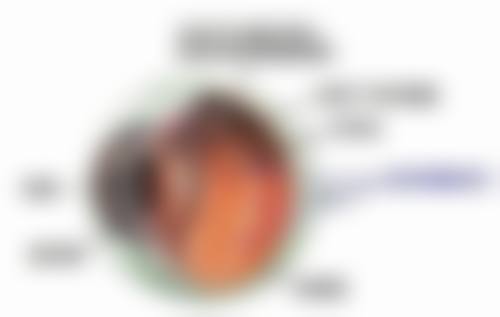 五、南阳医学高等专科学校第一附属医院眼科眼科设备仪器及环境
