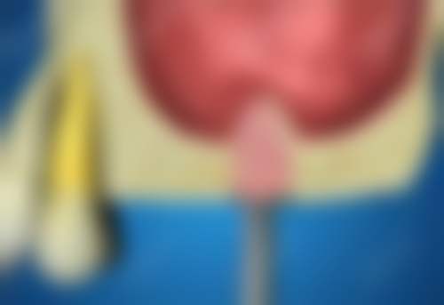 六、罗维医生在哪坐诊?