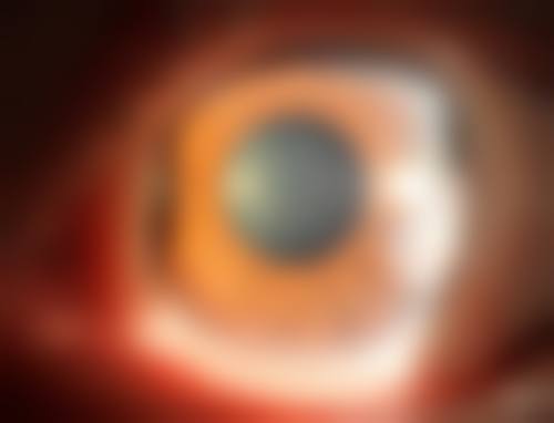 常见问题解答(FAQ)