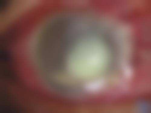 预约方式与到院指引