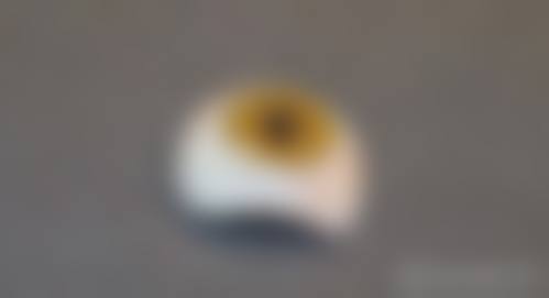 预约优惠活动