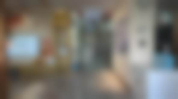 擅长项目详解