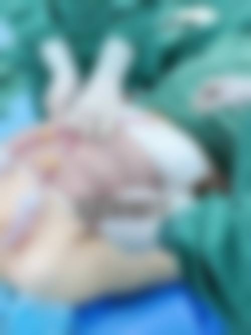 三、茅东升医生职称荣誉