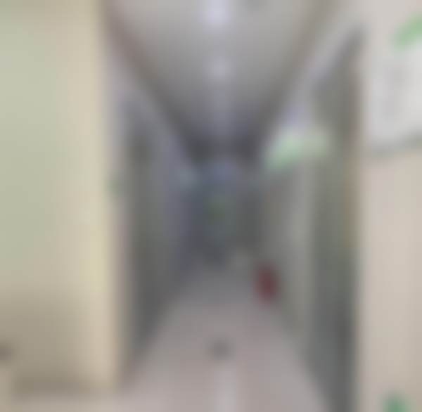 1、主要做的三大诊疗项目