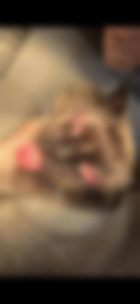 结尾预约号召——立即预约王玉风医生