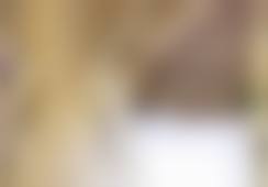 2、医院性质 / 资质备案