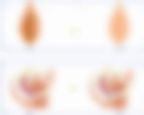 4、基础信息