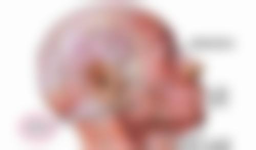 shinebom皮膚科價格表2026中韓報價 診所揀選要點(附港澳本地參考)