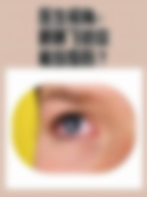 擅长项目详解