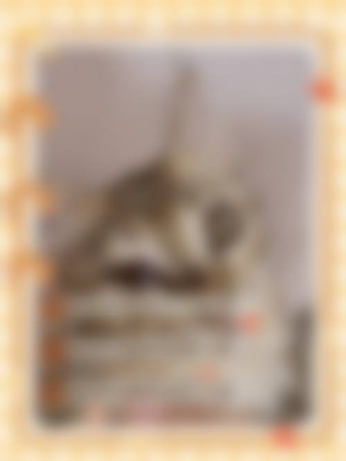 诊疗特色总结