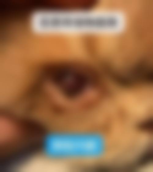 预约优惠活动