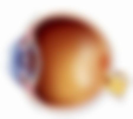 三明市第二医院眼科简介
